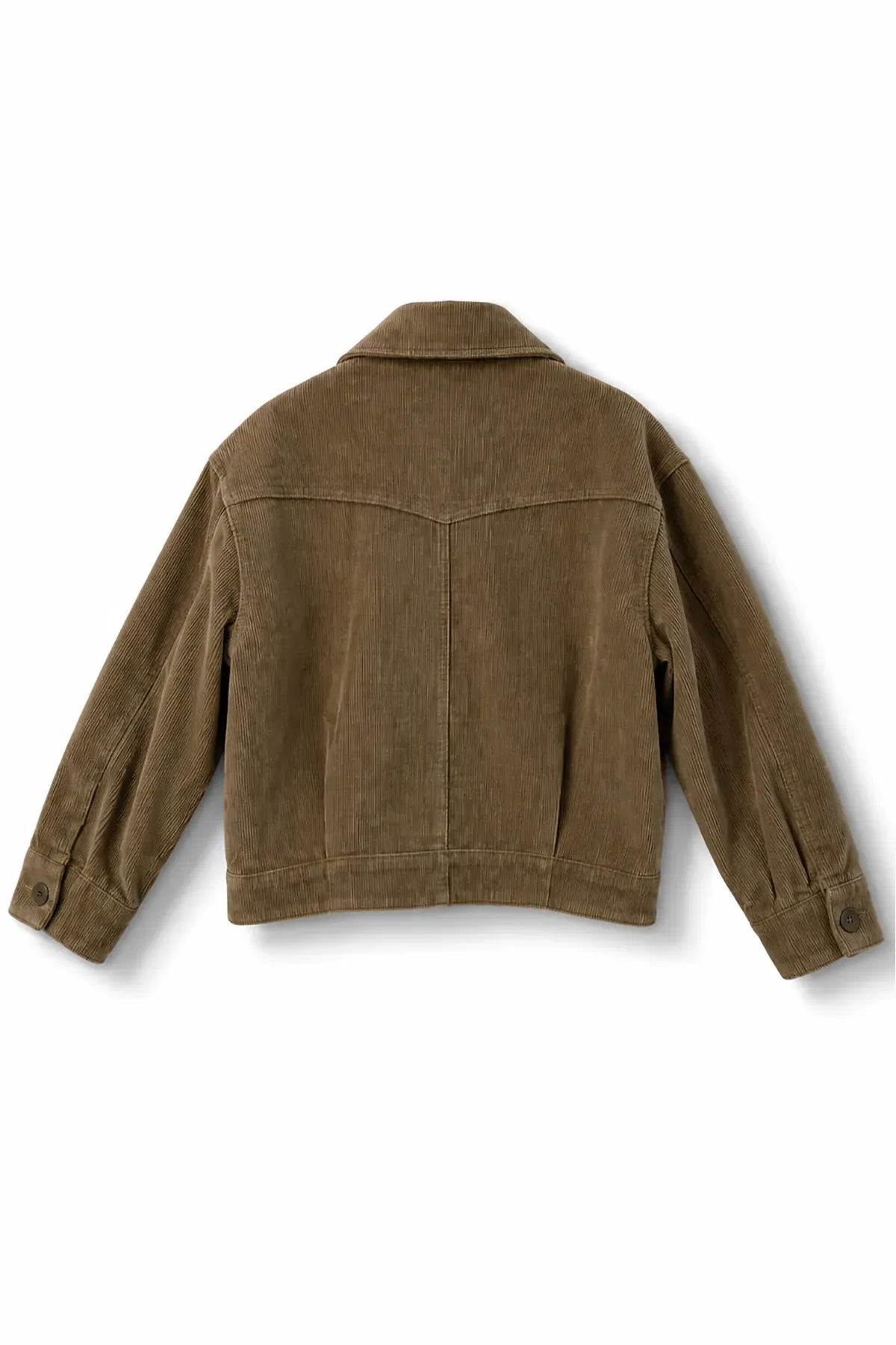 Chaqueta Cotelé